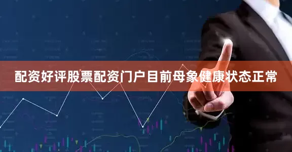 配资好评股票配资门户目前母象健康状态正常
