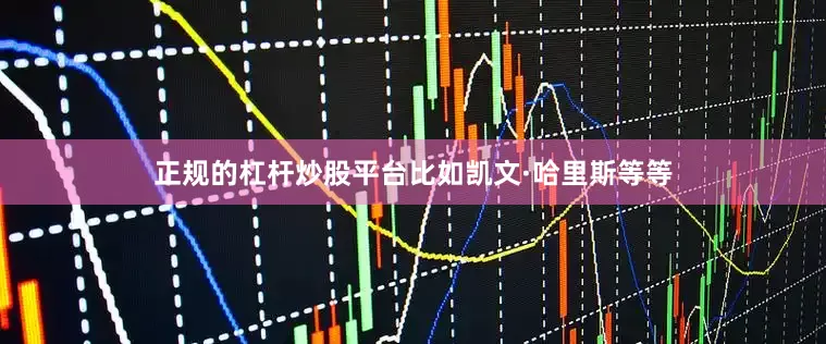 正规的杠杆炒股平台比如凯文·哈里斯等等