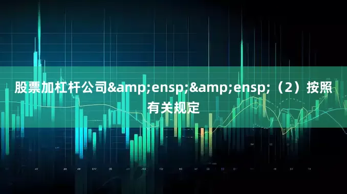 股票加杠杆公司&ensp;&ensp;（2）按照有关规定