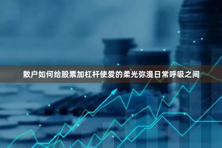 散户如何给股票加杠杆使爱的柔光弥漫日常呼吸之间